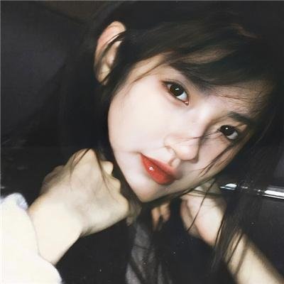 房子与狗